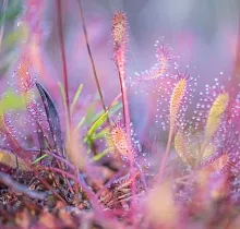 ополнительное фото тура 