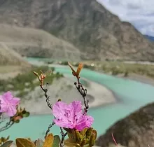 ополнительное фото тура 