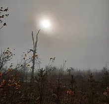 ополнительное фото тура