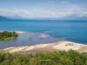 Медведи на Курильском озере