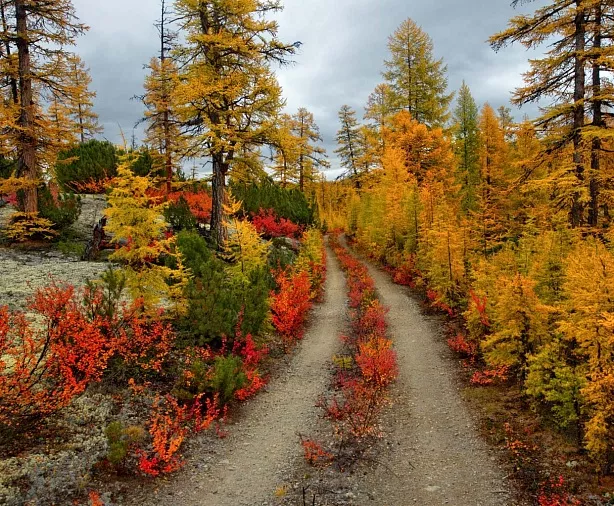 Изображение статьи Колыма: сплав и рыбалка по р. Большая Купка, Магаданская область Туры России