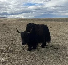 ополнительное фото тура 