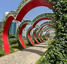 ополнительное фото тура 