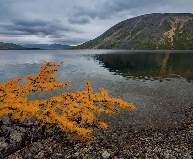 Изображение статьи Колыма: сплав и рыбалка по р. Большая Купка, Магаданская область Туры России