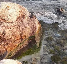 ополнительное фото тура 