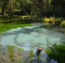 Тур К пяти священным вершинам. Укок.