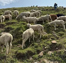 Место проживания в туре 