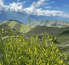 ополнительное фото тура 