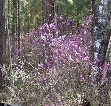 ополнительное фото тура 