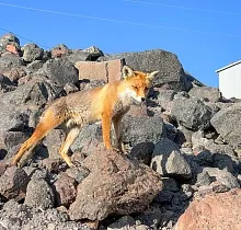 ополнительное фото тура 