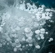 ополнительное фото тура 