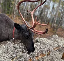 ополнительное фото тура 