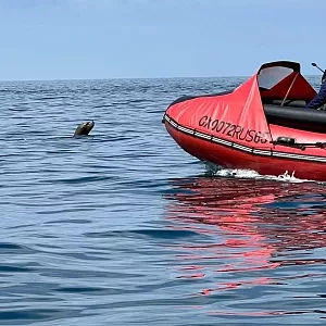 Фото отзыва