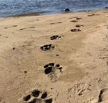 ополнительное фото тура 