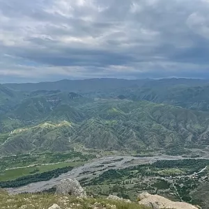 Фото отзыва