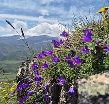 ополнительное фото тура 