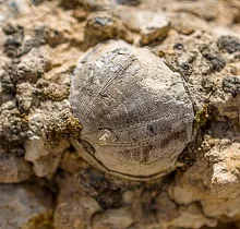 Фото дня 4 тура Казахстан: комфортный Мангистау