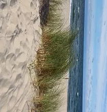 ополнительное фото тура 