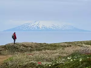 Остров Курильской гряды - Шумшу