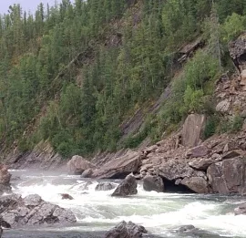 Тур Трофейная рыбалка на горной реке