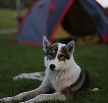 ополнительное фото тура 