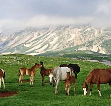 ополнительное фото тура 