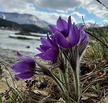 ополнительное фото тура 