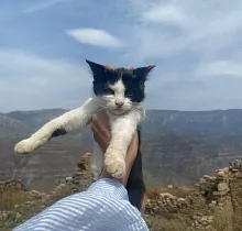 ополнительное фото тура 