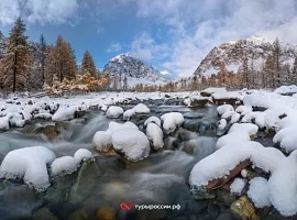 Алтай