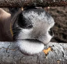 ополнительное фото тура 