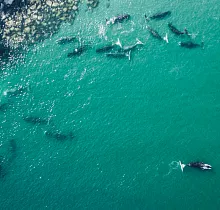 ополнительное фото тура 