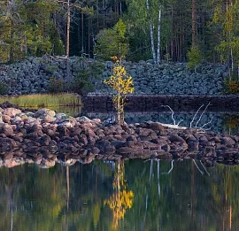Тур Чудеса Карелии - Мигматиты и Озы. Индивидуальная экскурсия для 1-7 человек.