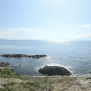 Фото отзыва