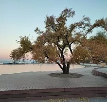 ополнительное фото тура 