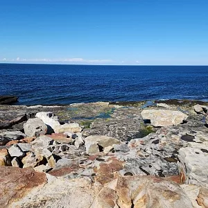 Фото отзыва