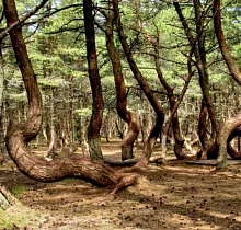 ополнительное фото тура