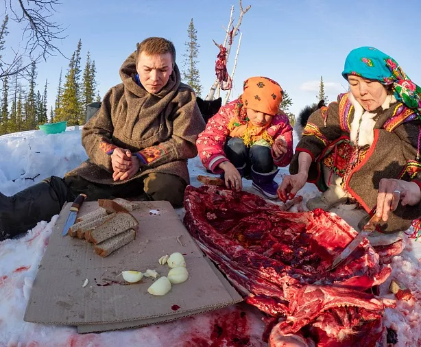 Изображение статьи Еда оленеводов Ямала – сырое мясо  Туры России
