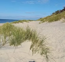 ополнительное фото тура 