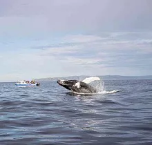 ополнительное фото тура 