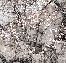 ополнительное фото тура 