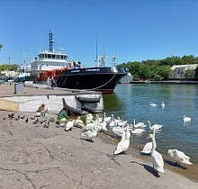 ополнительное фото тура 