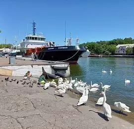 Тур Тур: «Майские праздники в Калининграде»