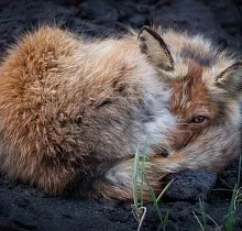 ополнительное фото тура 