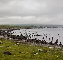 ополнительное фото тура 