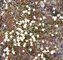 ополнительное фото тура 