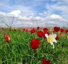 ополнительное фото тура 