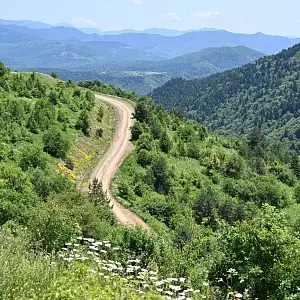 Фото отзыва