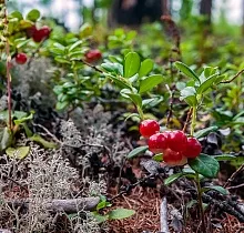 ополнительное фото тура 