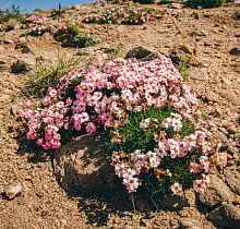 ополнительное фото тура 