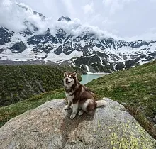 ополнительное фото тура 